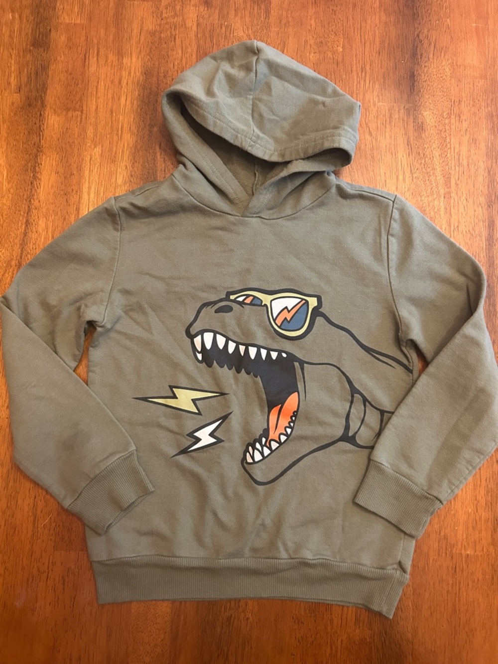 Olive Green Dinosaur Graphic Hoodie Pullover Sweatshirt | Boys Size 7